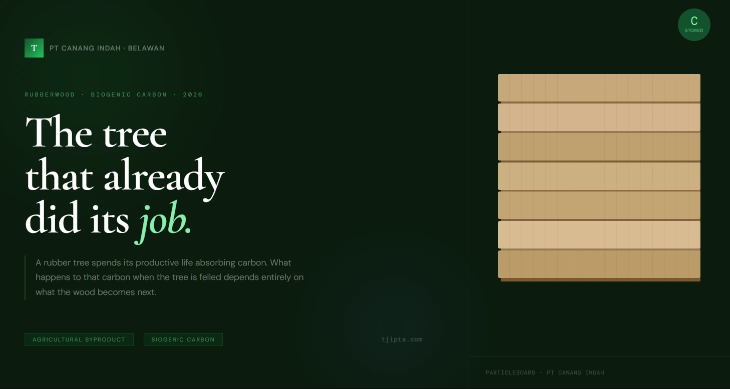 The Tree That Already Did Its Job