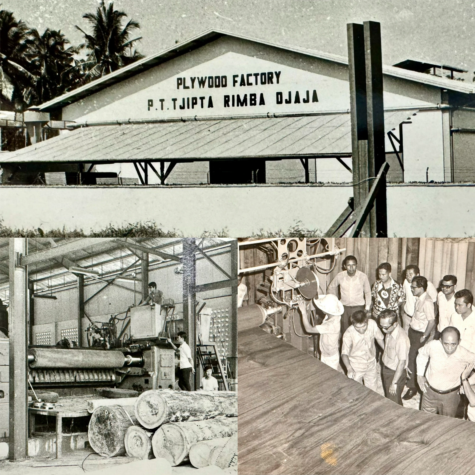 Start-up of Tjipta Plywood Factory