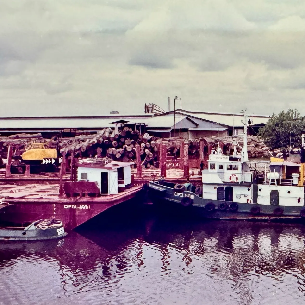 Implemented tug and barge systems to improve the transportation of logs to the Belawan plywood mill