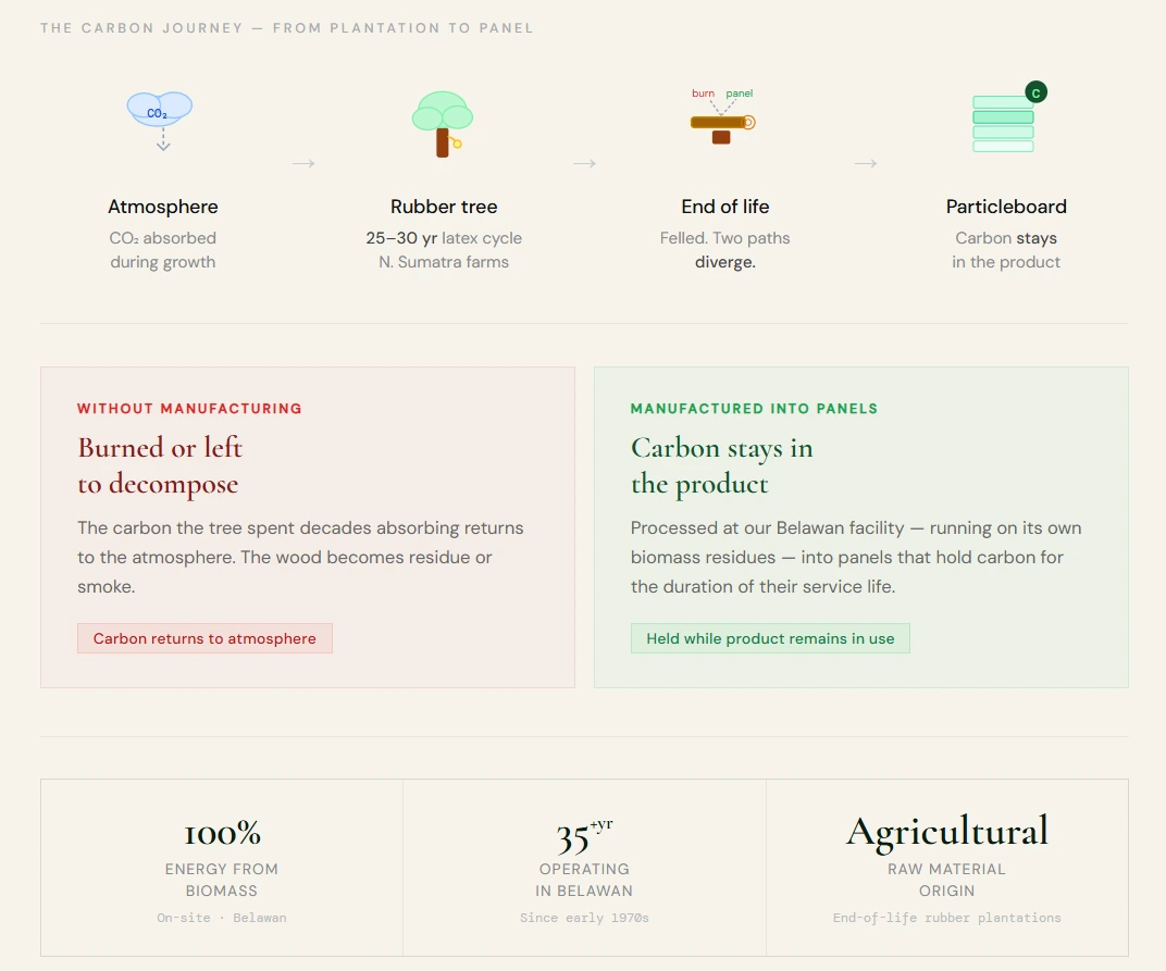 The Tree That Already Did Its Job